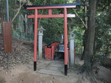sCIMG0754.jpg