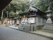sCIMG0755.jpg