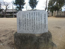 sCIMG0761.jpg