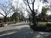 sCIMG0827.jpg