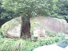 s-Meotoiwa02.jpg
