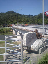 houki02.jpg