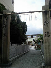 miyakojima1.jpg