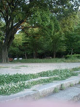 osakacastle18.jpg