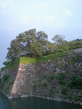 osakacastle20.jpg