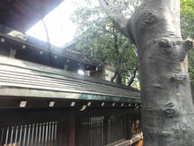 abenoseimeijinjya16.jpg