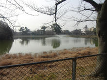 mandaiike01.jpg