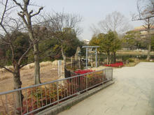 mandaiike05.jpg