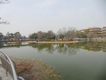 mandaiike08.jpg