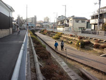 hachimanhinara04.jpg