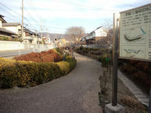 hachimanhinara05.jpg