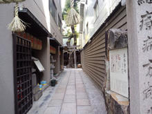 sukunahikona02.jpg