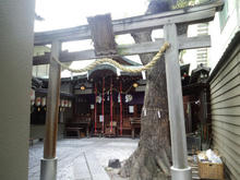 sukunahikona04.jpg