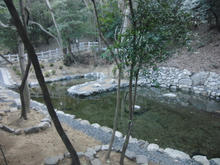 ubagaike11.jpg