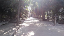 hatamonojinjya03.jpg