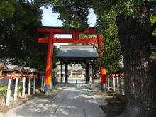 kaguwashijinjya01.jpg