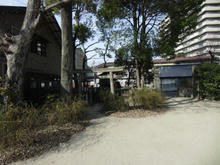 kaguwashijinjya03.jpg