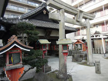 tatemorizuisin5.jpg