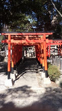 shinodamorijinjya16.jpg