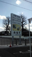 saihukuji02.jpg