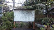 saihukuji04.jpg