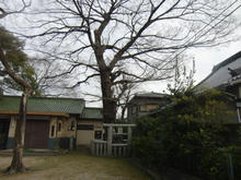 asahijinjya07.jpg