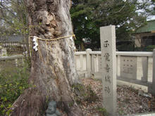 asahijinjya08.jpg