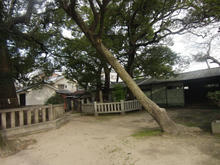 asahijinjya11.jpg