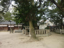 asahijinjya12.jpg