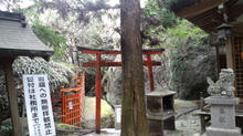 iwafunejinjya11.jpg