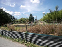 nakanoike01.jpg