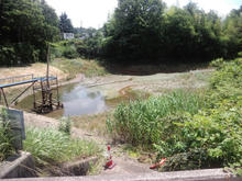 nakanoike02.jpg