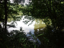 nakanoike07.jpg