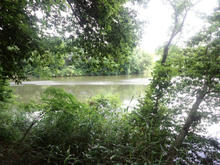nakanoike08.jpg