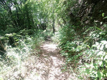 nakanoike11.jpg