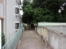 hoshinomori03.jpg