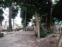 hoshinomori05.jpg