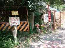 shishikutsuji01.jpg