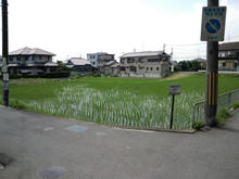 amatajinjya01.jpg
