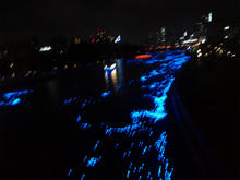 tanabata03.jpg