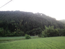 yukoyajinjya03.jpg