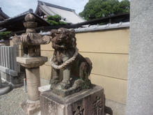 kuguchisusao03.jpg