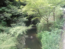 minoookutaki10.jpg