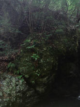 minoookutaki08.jpg