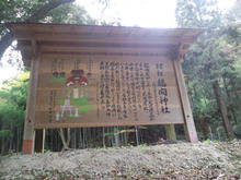 Tatumaji04.jpg