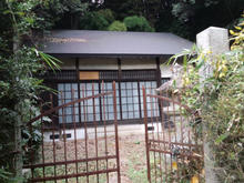 Tatumaji09.jpg