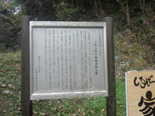 Tatumaji14.jpg