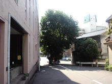 tamatsukuriinarijinjya07.jpg