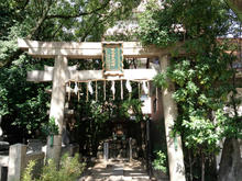 tamatsukuriinarijinjya18.jpg