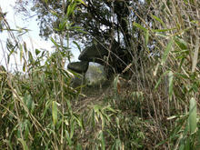 kawachidorumen04.jpg